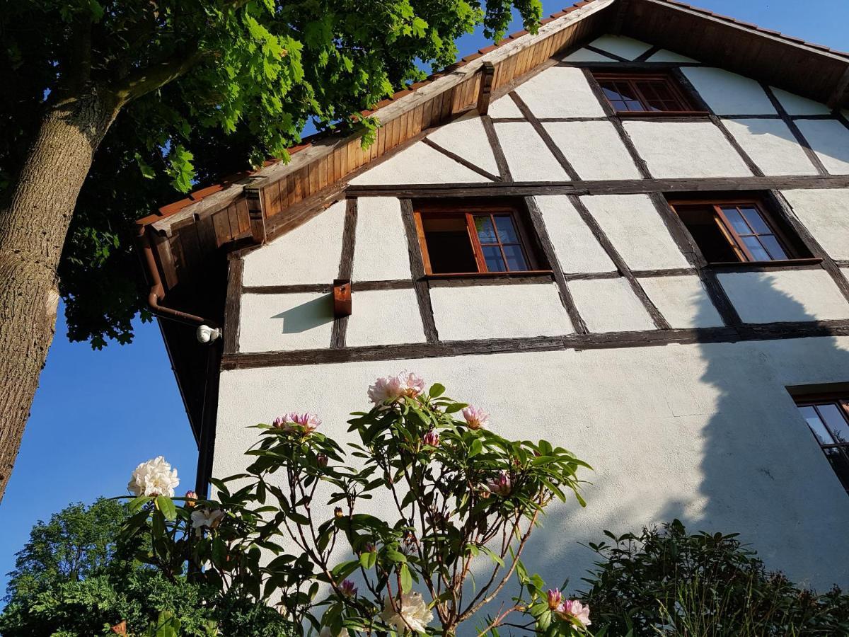 Agroturystyka Dowoli Swieradow-Zdroj Bagian luar foto