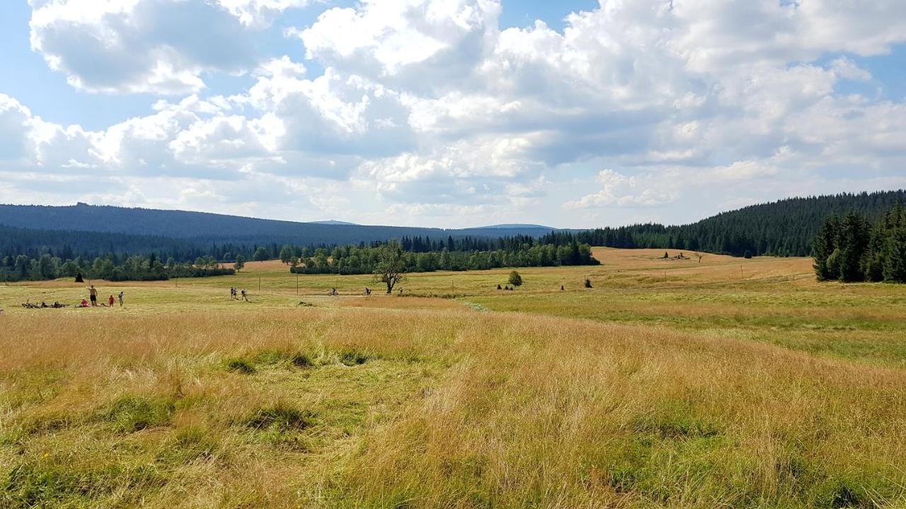Agroturystyka Dowoli Swieradow-Zdroj Bagian luar foto