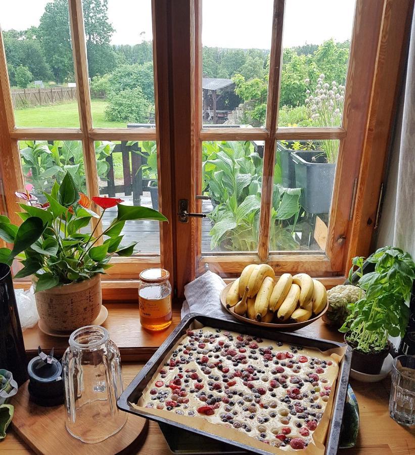 Agroturystyka Dowoli Swieradow-Zdroj Bagian luar foto