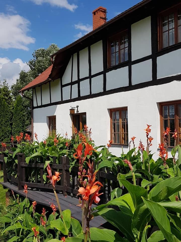 Agroturystyka Dowoli Swieradow-Zdroj Bagian luar foto